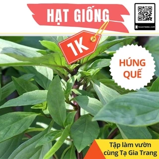 Deal 1K - 50 Hạt giống rau húng quế (húng chó) - Tập làm vườn cùng Tạ Gia Trang