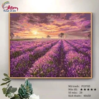 Tranh sơn dầu số hoá phong cảnh đồng hoa tím Lavender GAM tự tô màu theo số PC0785