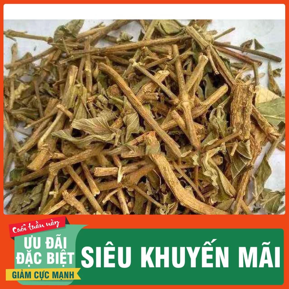 Cây Dạ Cẩm khô (1KG)_Thảo Dược Thanh Bình - Thảo Dược Thanh Bình