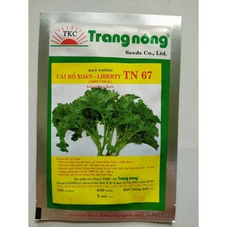 Hạt giống cải rổ xoăn (cải Kale) bịch 10gr