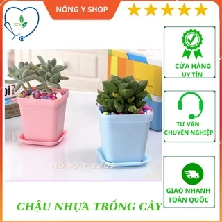 (Không kèm dĩa) Chậu nhựa trồng cây nhỏ nhiều màu thích hợp trồng sen đá, tai thỏ, xương rồng để bàn làm việc