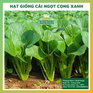 Hạt giống rau cải ngọt cọng xanh cao sản - rau củ quả trồng chậu, sân vườn chịu nhiệt 4 mùa tỉ lệ nảy mầm cao 20gr RADO