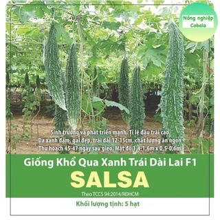 Khổ Qua Xanh Trái Dài (SALSA) Thanh Ngọt, Năng Suất Cao 5 Hạt