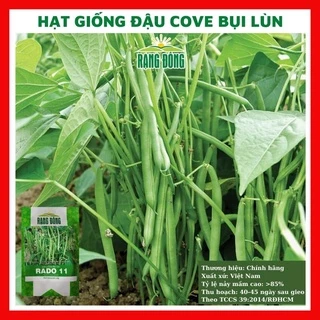 Hạt giống đậu cove bụi lùn - rau củ quả trồng chậu, sân vườn ban công ngon giòn ngọt nảy mầm cao 20gr RADO11