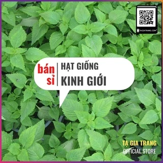 [Bán sỉ] - Hạt giống rau kinh giới