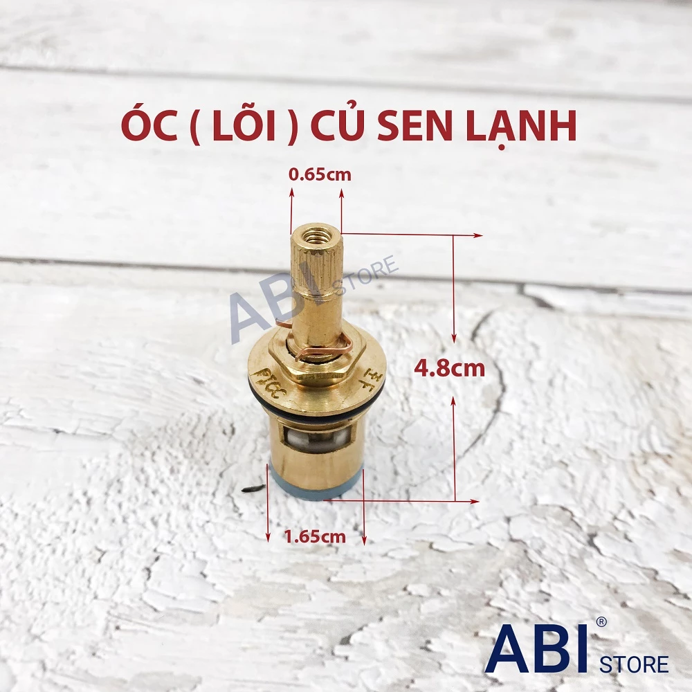 Óc sen lạnh ( lõi củ sen lạnh ) đồng, ruột sen đơn