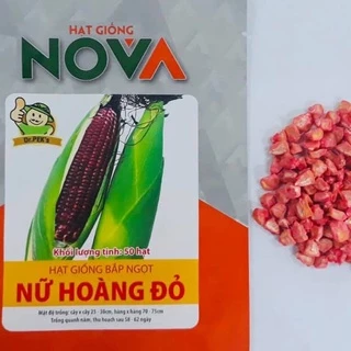 Hạt giống bắp nữ hoàng đỏ ( 1 gói 50 hạt )