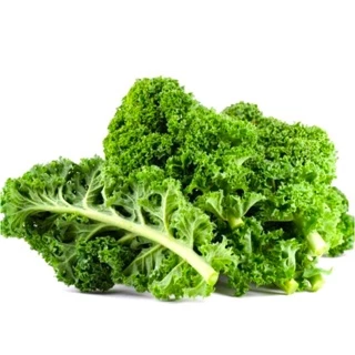 Hạt giống cải Kale, cải xoắn màu xanh, cải lá xoăn gói 2gr