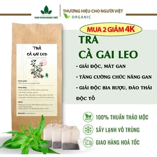 Trà cà gai leo túi lọc (Thanh nhiệt, mát gan, thải độc) - Chợ Thảo Dược Việt