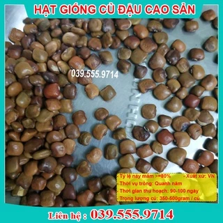 [Siêu Sale] HẠT GIỐNG CỦ ĐẬU GÓI 200GRAM - HẠT GIỐNG TỶ LỆ NẢY MẦM CAO, NHIỀU CỦ