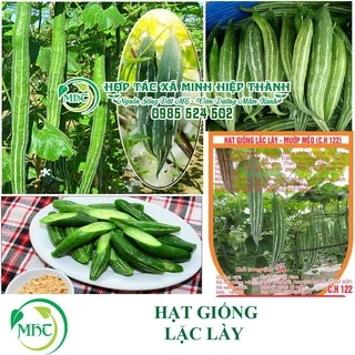 hạt giống lặc lày