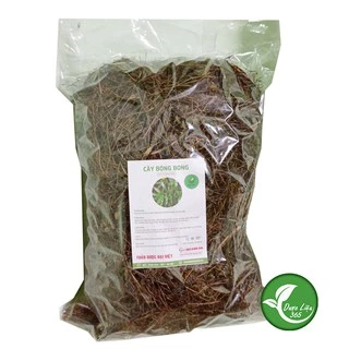 Cây Bòng Bong (Hải kim sa) 1KG - Tốt cho người phù thận - viêm thận