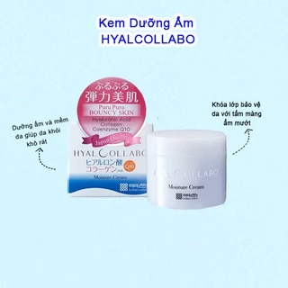 Kem Dưỡng Ẩm Ngăn Ngừa Lão Hóa Da Hyalcollabo Emollient 48g