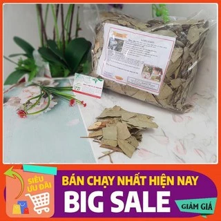 Bạch Đàn 1Kg - Hàng Sấy Khô Đạt Loại 1