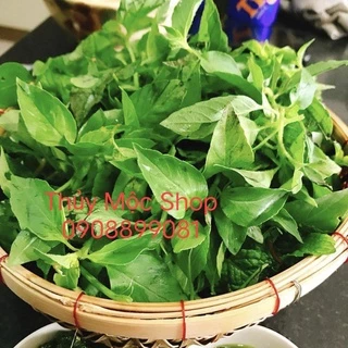 🌿 LÁ É TƯƠI PHÚ YÊN -COMBO 3KG