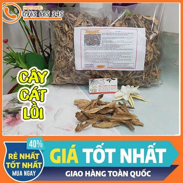 Cây Cát Lồi 500g - Thuốc Nam Đạt Chất Lượng