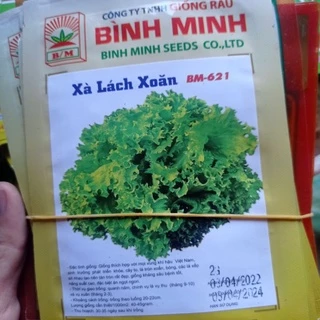 Hạt giống xà lách xoăn xanh