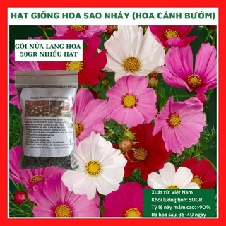 Hạt giống hoa sao nhái - cánh bướm mix màu GÓI NỬA LẠNG 50gr nhiều hạt (đỏ, hồng, trắng) đẹp tỷ lệ nảy mầm cao HSN005