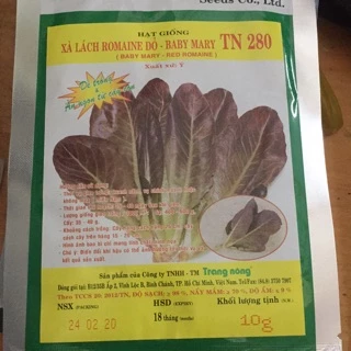 Xà lách romaine đỏ- gói 10gr