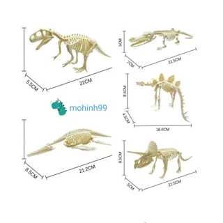 Combo 5 mẫu Lắp ráp Mô Hình Hoá Thạch Khủng Long