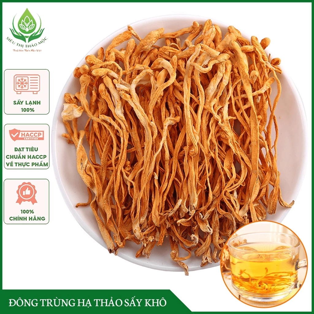 ✅[LOẠI THƯỢNG HẠNG] Đông Trùng Hạ Thảo Sấy Khô Sợi To Ngon Hàng Cao Cấp Bồi Bổ Cơ Thể