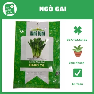 Ngò Gai(10g), rau gia vị, dễ trồng phù hợp khí hậu Việt Nam