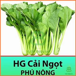 Hạt Giống Rau Cải Ngọt Giòn Ngọt, Năng Suất Cao 20gr