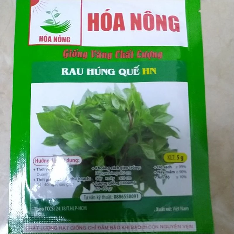 Hạt giống rau húng quế