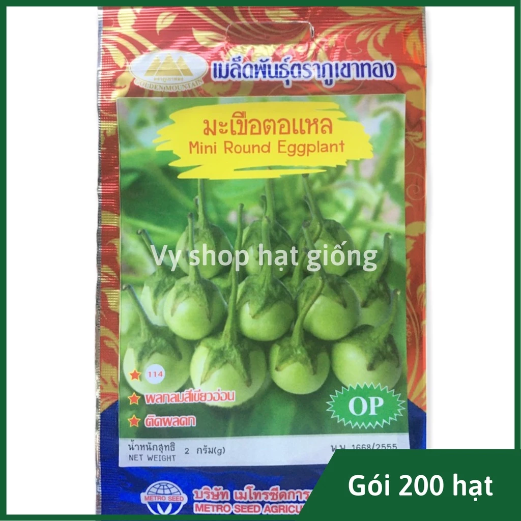 Hạt giống cà pháo xanh bốn mùa Thái Lan gói 200 hạt