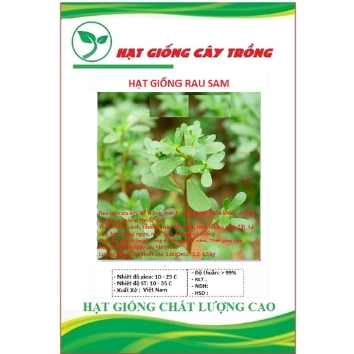 Hạt giống rau sam đất - Gói 2gram