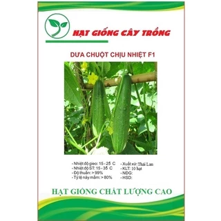 Dưa chuột chịu nhiệt (dưa chuột Thái) F1 CT78  – Gói 10Hạt