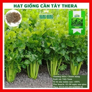 Hạt giống cần tây thera - rau củ quả trồng chậu, sân vườn ban công ngon giòn giàu chất dinh dưỡng nảy mầm cao 5g RADOCT