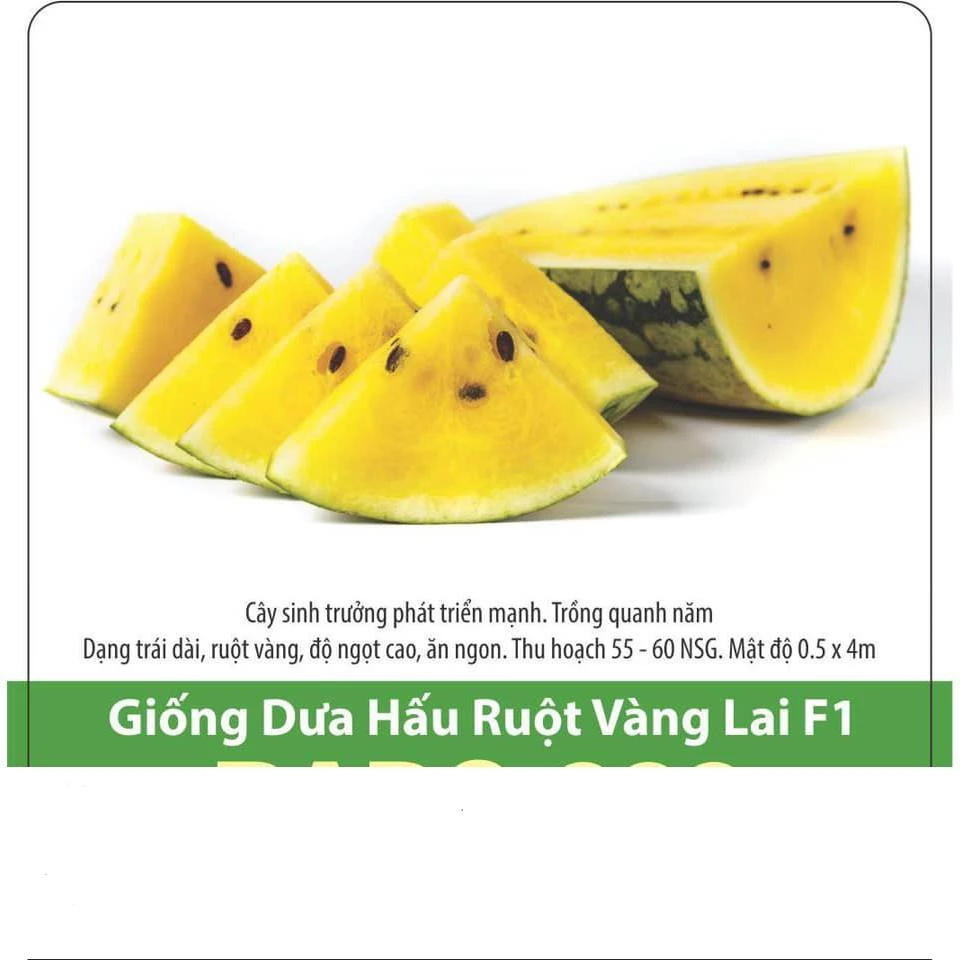 Hạt Giống Dưa Hấu Ruột Vàng 5 Hạt