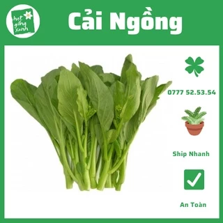 Hạt Giống Cải Ngồng Rạng Đông (20g)