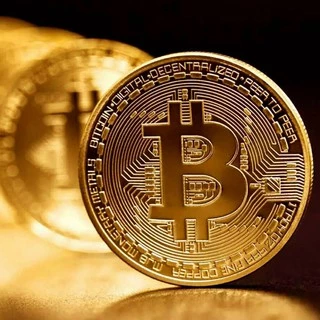 Bộ Sưu Tập Bitcoin BTC Token Miner Cryptocurrency Mạ Vàng