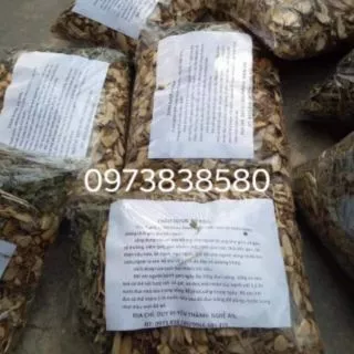 1 kg cây an xoa sao vàng hạ thổ