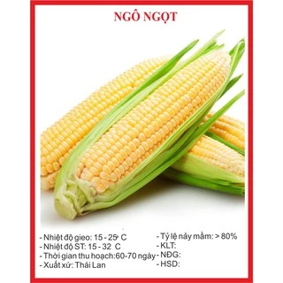 Hạt Giống Ngô Ngọt 20 Hạt