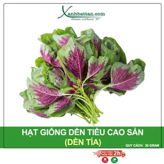 Hạt Giống Dền Tiều Cao Sản Phú Nông Gói 20 gram