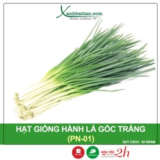 Hạt Giống Hành Lá Gốc Trắng Phú Nông Gói 2 Gram