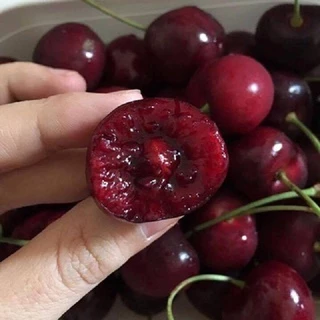 Shop 1K - Hạt giống Quả Anh Đào (Cherry) - Thơm Ngon, Bổ Dưỡng, Giàu Vitamin - MUA 3 TẶNG 1 CÙNG LOẠI