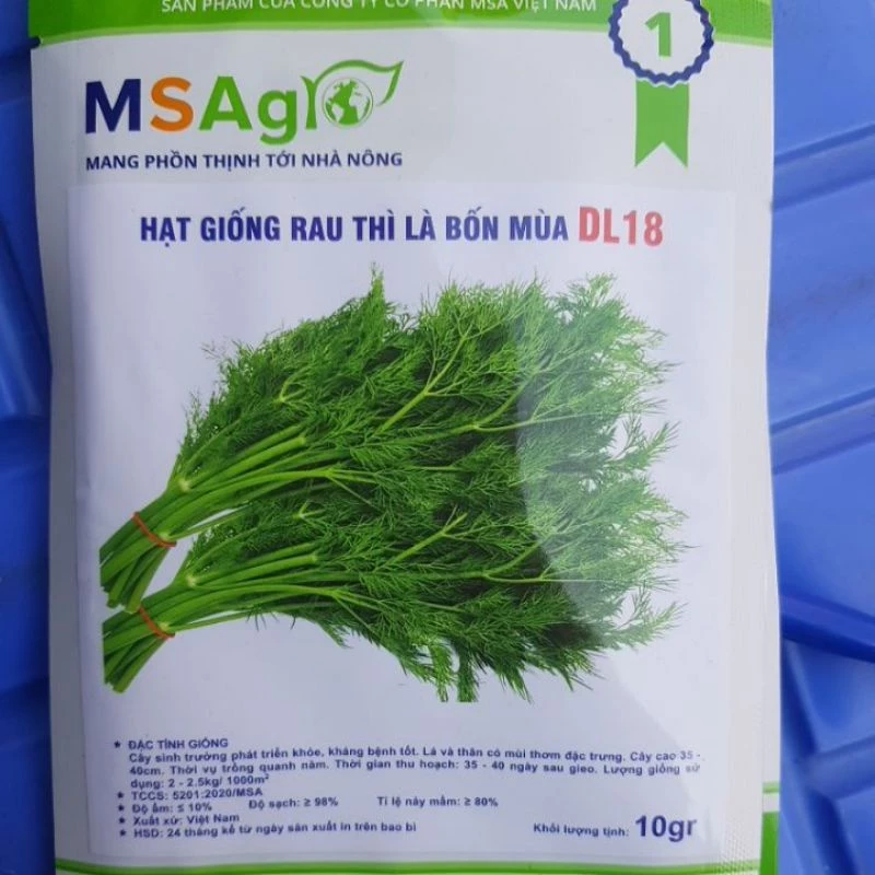 Hạt giống rau thì là bốn mùa ( rau thanh hao ) 10g