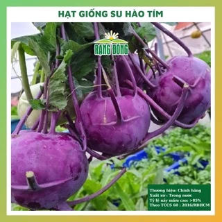 Hạt giống su hào tím rau củ quả trồng chậu chịu 4 mùa chịu nhiệt nảy mầm cao 2g RADO 0684