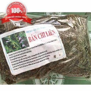 500G cây bán chi liên phơi khô