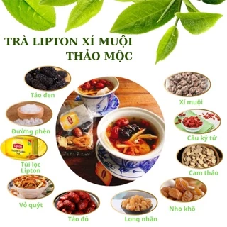 Trà Lipton xí muội thảo mộc set 10 gói thanh nhiệt giải độc