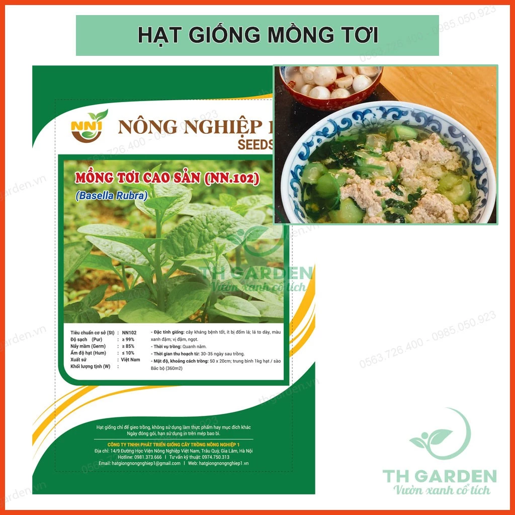 Hạt Giống Mùng Tơi Xanh Thân Mập Cao Sản - Gói 20 gram - Tỷ lệ nảy mầm rất cao trên 80% - Học Viện Nông Nghiệp Việt Nam