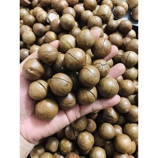 Mắc ca sấy chín- giòn- thơm túi 500g