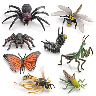 Mô hình côn trùng/ nhện đồ chơi giáo dục sớm cho bé
