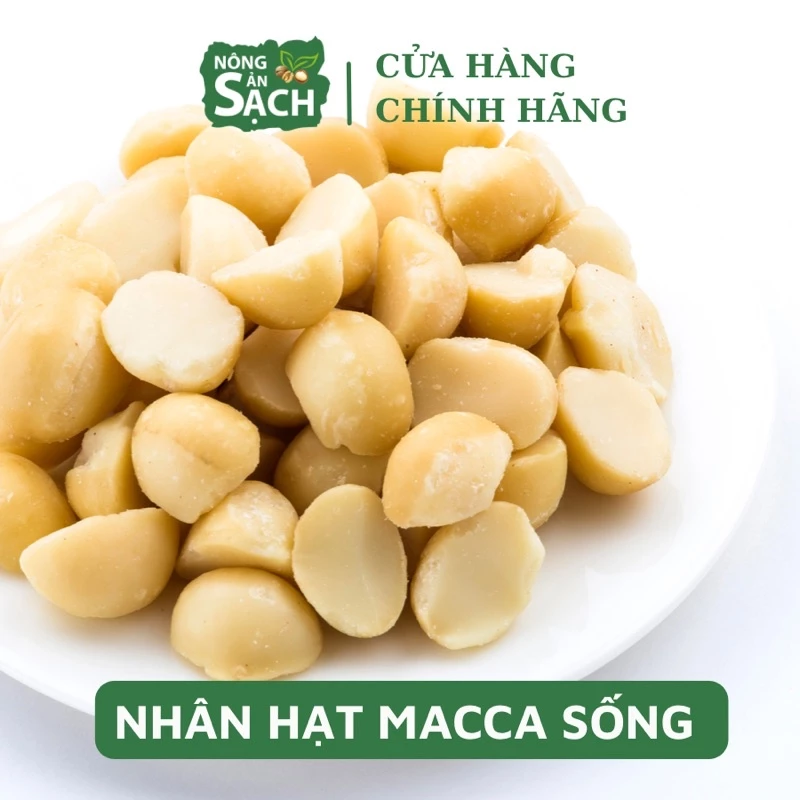 NHÂN MACCA SẠCH TƯƠI LÀM SỮA 500G