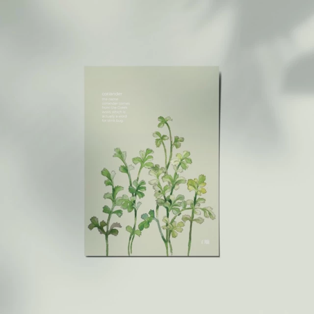 Thiệp Ôm - Ngò Rí | Card - Coriander