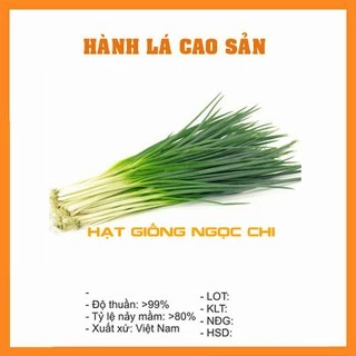  Hạt Giống Hành Hoa - Hành Lá Cao Sản - 2Gr